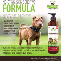 Champú de cloro hexidina para perros, gatos – 16 oz – Champú medicado para perros y gatos, lavado de mascotas para pieles irritadas, tratamiento de puntos calientes, mango, olor, infección de levadura, alivio de picazón de alergia, anillo, antifúngico, Es - BESTMASCOTA.COM