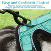 rabbitgoo - Arnés para gato para caminar, a prueba de escape, para gatos pequeños y medianos, arneses ajustables, arnés de malla suave para gatos pequeños, chaqueta de gato segura con tiras reflectantes y 1 anillo de metal - BESTMASCOTA.COM