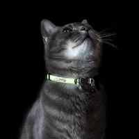 Rogz Catz GLOWCAT Pequeño 1/8" Breakaway reflectante Glow-in-the-Dark diseño de collar, Jumping gato negro de gato - BESTMASCOTA.COM
