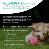 Champú Ketoconazole de clorhexidina para perros y gatos – Champú antifúngico y antiséptico medicado para el tratamiento de gusanos de anillo, infecciones de la levadura, acné, nariz y puntos calientes, avena y aloe aroma de menta de 304 ml - BESTMASCOTA.COM