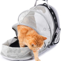 LOLLIMEOW Pet Carrier Backpack, Bubble Backpack Carrier, Cats and Puppies,Airline-Approved, Designed for Travel, Hiking, Walking & Outdoor Use