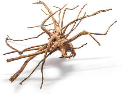 Artes Acuático 1 pieza grande de madera Aka Azalea Acuario Natural Driftwood de araña, 14 – 16