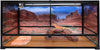 Carolina Custom Cages Reptile Habitat Background; Arches' Park Avenue, for 48Lx24Wx24H Terrarium, 3-Sided Wraparound - BESTMASCOTA.COM