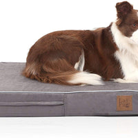 Laifug - Cama ortopédica de espuma viscoelástica para perro con forro impermeable duradero y funda extraíble lavable - BESTMASCOTA.COM