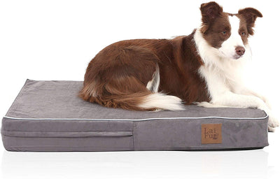 Laifug - Cama ortopédica de espuma viscoelástica para perro con forro impermeable duradero y funda extraíble lavable - BESTMASCOTA.COM