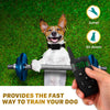 TBI Pro - Collar de entrenamiento profesional para perros con mando a distancia (1600 pies) - BESTMASCOTA.COM