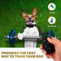 TBI Pro - Collar de entrenamiento profesional para perros con mando a distancia (1600 pies) - BESTMASCOTA.COM
