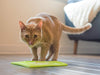 Hyper Pet LickiMat - Alfombrilla de alimentador lento para gatos (ayuda con la fatiga del bigote, perfecta para alimentos para gatos, dulces de gatos, yogur, o mantequilla de cacahuete – Divertida alternativa a los cuencos de gato de alimentación lenta, c - BESTMASCOTA.COM