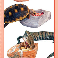 Saludable Herp mezcla de comida frutas instantáneo 7pk - BESTMASCOTA.COM