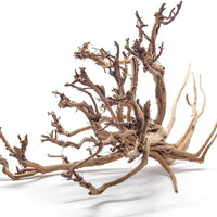 Artes Acuático 1 X-Large pieza de tigre madera Acuario Natural Driftwood, 14 – 18" - BESTMASCOTA.COM