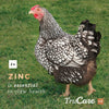 trucare Z/M parte superior-dress Trace mezcla de minerales para multi-species: Cerdos, oveja, Llamas, conejos, Aves de corral (Zinc, Manganeso) - BESTMASCOTA.COM