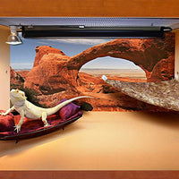 Reptil Habitat fondo, Big arco, 24" x 36", con cuadrados adhesivos - BESTMASCOTA.COM