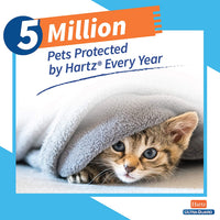 Hartz UltraGuard Pro - Collar reflectante para gatos y gatitos - BESTMASCOTA.COM