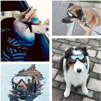PEDOMUS - Gafas de sol para perro, correa ajustable para viajes, esquí y antiempañamiento para mascotas, tamaño mediano a grande, color negro - BESTMASCOTA.COM