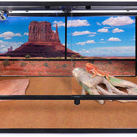 Carolina – Jaulas personalizadas de terrario, altura extra larga, profundidad 48 x 24 x 24 h, fácil de montar - BESTMASCOTA.COM
