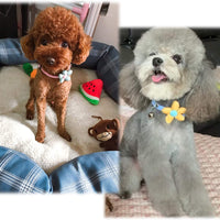 iiDesign - Collar para gato con campana, collar ajustable hecho a mano con campana, collar suave y cómodo para gatos y perros pequeños, 2 unidades - BESTMASCOTA.COM