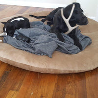 Perro masticar de asta de ciervo, tamaño mediano, 9 inches a 13 inches de largo. Perfecto para su a medio y tamaño grande Perros y cachorros. Grado A premium. Happy Dog garantía - BESTMASCOTA.COM