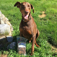 Green Butterfly Brands Beef Dog Treats - Made in USA Only - All Natural, Meaty Slow Roasted Beef Tips - Premium American Beef - Grass Fed, Farm Raised - Crunchy & Delicious Grain Free Training Treat - BESTMASCOTA.COM