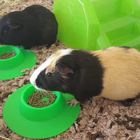 staybowl tip-proof ergonómico Pet Bowl para Conejillo de Indias y otros pequeños mascotas, 1/4 tazas de tamaño pequeño, verde primavera - BESTMASCOTA.COM