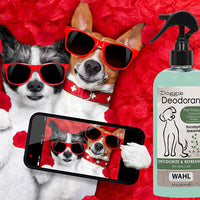 Wahl Doggie Desodorante Natural. - BESTMASCOTA.COM