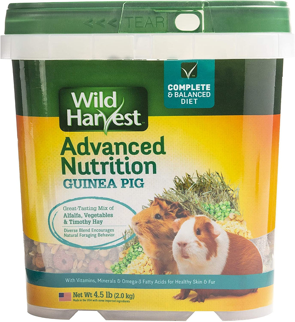 Wild Harvest wh-83545 Wild Harvest Advanced Nutrition dieta para conejillos de Indias, 4.5-pound - BESTMASCOTA.COM