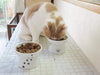 necoichi Raised Cat alimentos y agua Bowl Set (Cat) - BESTMASCOTA.COM