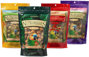 LAFEBER'S Gourmet Nutri-Berries - Paquete de muestras de alimentos variados, hechos con ingredientes no OMG y de grado humano, para loros, 10 onzas cada uno - BESTMASCOTA.COM