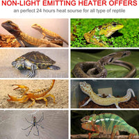 WUHOSTAM 14W Waterproof Reptile Heating Pad 11 x 11 Inch Warmer Heat Mat with Temperature Controller Power Adjustment Terrarium Heater for Pets, Small Animals, Seeding - BESTMASCOTA.COM