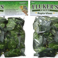 Flúor de Pothos Repta Vines para Reptiles y Anfibios - BESTMASCOTA.COM