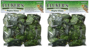 Flúor de Pothos Repta Vines para Reptiles y Anfibios - BESTMASCOTA.COM