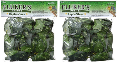 Flúor de Pothos Repta Vines para Reptiles y Anfibios - BESTMASCOTA.COM