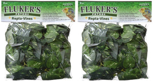 Flúor de Pothos Repta Vines para Reptiles y Anfibios - BESTMASCOTA.COM