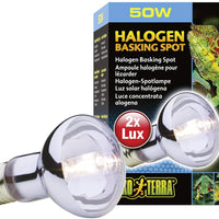 EXO TERRA Sun-Glo Luz Lámpara Halógena - BESTMASCOTA.COM