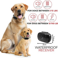 Enrivik Small Remote Dog Training Collar with Beep and Vibration Modes for Pet Behavior Training - Suitable for Extra Small, Medium or Large Dogs (5+ lbs) - BESTMASCOTA.COM