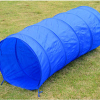 Equipo de entrenamiento para perros Pawhut, de agilidad, con obstáculos, en color azul y amarillo - BESTMASCOTA.COM