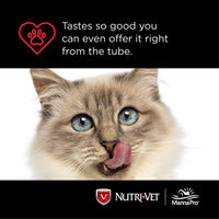Gel para patas de felino, Nutri-Vet, 3 onzas, 3, Salmón - BESTMASCOTA.COM