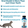 Oral Health for Cats Dental Treatment - Natural Stomatitis and Gingivitis Solution is Highly Effective for Feline Mouth Issues Including Tartar and Inflammed Gums - Easy to Use (450 pills) - BESTMASCOTA.COM