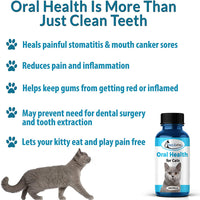 Oral Health for Cats Dental Treatment - Natural Stomatitis and Gingivitis Solution is Highly Effective for Feline Mouth Issues Including Tartar and Inflammed Gums - Easy to Use (450 pills) - BESTMASCOTA.COM