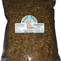 Gusanos de comida secos y 50 gusanos libres para reptiles, peces, pájaros, pollos y mamíferos, etc. - BESTMASCOTA.COM