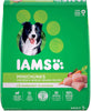 IAMS PROACTIVE HEALTH Minichunks Dry Dog Food, Chicken - BESTMASCOTA.COM