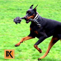 BK PRODUCTS LLC Juguetes para perros para masticadores agresivos, juego de 2 cuerdas para perros XL resistentes, juguete para cachorros de raza grande, perros medianos y grandes para masticar, dentición, Tug of War - BESTMASCOTA.COM