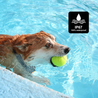 Bousnic - Collar de entrenamiento para perro, 2 perros, con control remoto, recargable, impermeable, con vibración de pitido, para perros pequeños, medianos y grandes (10 libras - 120 libras) - BESTMASCOTA.COM