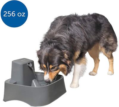PetSafe Drinkwell 2 Gallon and Big Dog Pet Fountains - Automatic Dog and Cat Water Fountain - Best for Medium to Large Breeds and Multiple Pets - BESTMASCOTA.COM