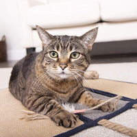 SmartyKat – Rascador para mascotas – Triple panel plegable colgante, multicolor - BESTMASCOTA.COM