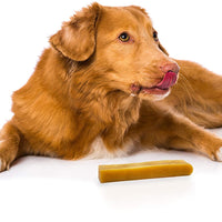 Bulk Chews del Himalaya, perro Masticar tratar Fabricado de la leche de Yak - BESTMASCOTA.COM