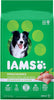 IAMS PROACTIVE HEALTH Minichunks Dry Dog Food, Chicken - BESTMASCOTA.COM