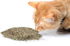 Cat Kush Organic Catnip, Safe Premium Blend Perfect for Cats, Instilled with Maximized Potency Your Kitty is Sure to Go Crazy for - BESTMASCOTA.COM