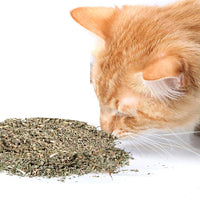 Cat Kush Organic Catnip, Safe Premium Blend Perfect for Cats, Instilled with Maximized Potency Your Kitty is Sure to Go Crazy for - BESTMASCOTA.COM