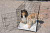 Cool corredores Tall Boy XL alambre jaula de mascotas para 36" x 25" x 28" con Bono de oveja de imitación de colchón - BESTMASCOTA.COM