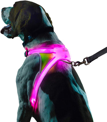 Noxgear lighthound Revolucionario iluminado y reflectante arnés para perros incluso multicoloreado fibra óptica LED (recargable por USB, ajustable, ligero, impermeable). - BESTMASCOTA.COM